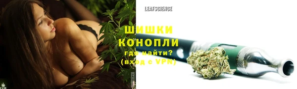 ПСИЛОЦИБИНОВЫЕ ГРИБЫ Абаза