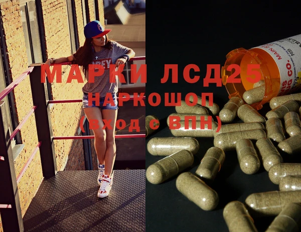 ПСИЛОЦИБИНОВЫЕ ГРИБЫ Абаза