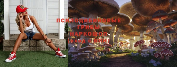 ПСИЛОЦИБИНОВЫЕ ГРИБЫ Абаза