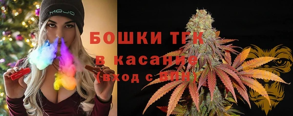 индика Абдулино